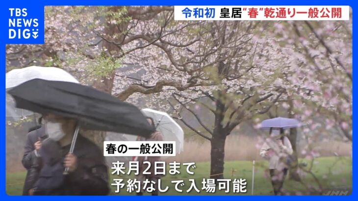 あいにくの雨の中　見ごろの桜を目指し多くの人が集まる　皇居・乾通り春の一般公開始まる｜TBS NEWS DIG