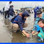冷たい雨降る中　潮干狩り場がオープン　家族連れなどで賑わう　千葉・富津市｜TBS NEWS DIG