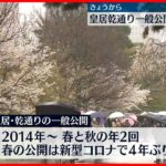 【春は令和初】皇居・乾通りの一般公開…見物客「花が一面咲いて」