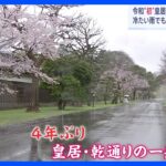令和初　皇居「乾通り」春の一般公開　あいにくの雨でも9000人以上が訪れる｜TBS NEWS DIG