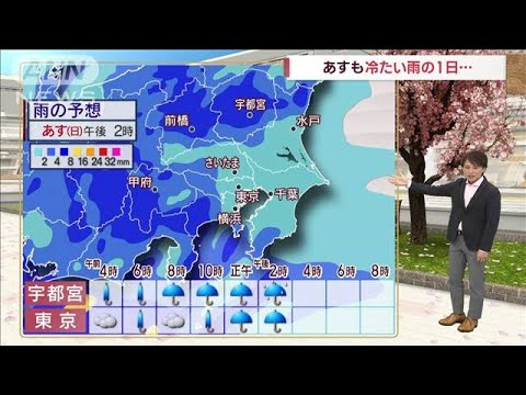 【関東の天気】あすも続く冷たい雨　お花見チャンスは来週に(2023年3月25日)