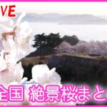 【春爛漫ライブ】『桜の名所・日本列島絶景スポット』日本全国各所にある桜の名所をお届け――上空からはドローンで地上からは花びらまで鮮明に　春を感じる美しい映像まとめ（日テレニュース LIVE）