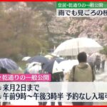 【桜】雨にぬれた桜がちょうど見頃に　皇居・乾通り一般公開