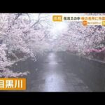 “花冷え”の中…“桜の名所”に　外国人観光客が殺到「神様に祝福されている気分」(2023年3月27日)