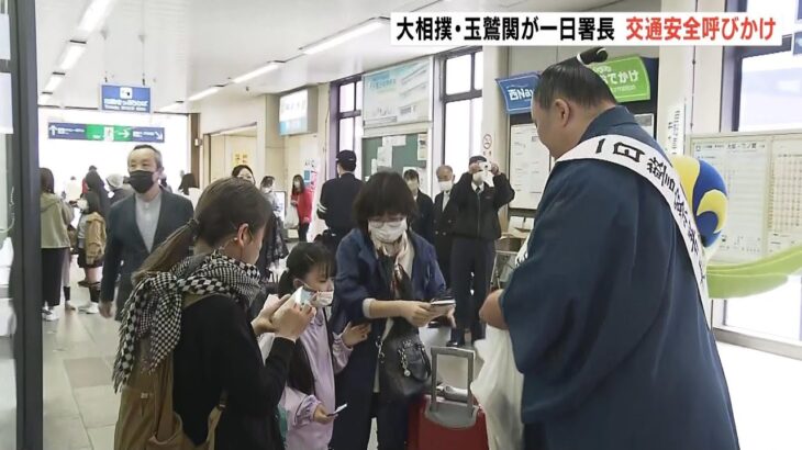 大相撲・玉鷲関「ママチャリに乗ります。大きいヘルメット探します」一日警察署長に（2023年3月27日）