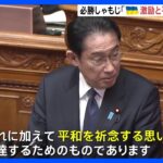 【必勝しゃもじ】「激励と平和を祈念する思いを伝達」岸田総理、“必勝しゃもじ”選定の理由を説明｜TBS NEWS DIG