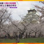 春本番！大阪の桜満開に！　観測史上２番目の早さ　この陽気は今週半ばまで続き、絶好のお花見日和に！