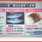 【“不漁”】各地で漁獲量に異変 温暖化に伴う海水温の上昇が影響？