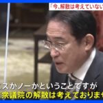 岸田総理「今、解散は考えていない」　先送りできない課題に取り組むことが優先と強調｜TBS NEWS DIG