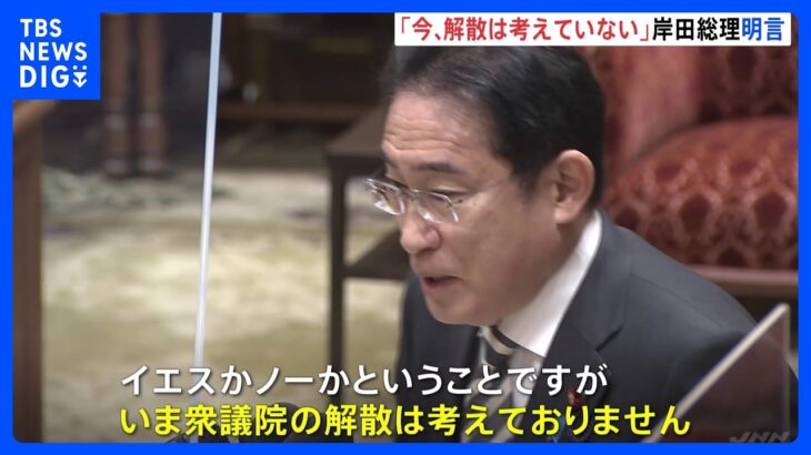 岸田総理「今、解散は考えていない」　先送りできない課題に取り組むことが優先と強調｜TBS NEWS DIG