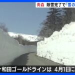 “雪の回廊”お目見え！「八甲田・十和田ゴールドライン」除雪完了　4月1日全面開通｜TBS NEWS DIG