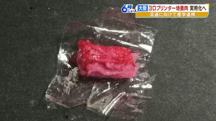 ３Ｄプリンターで『生食できる豚肉』『霜降り牛肉』が！？培養肉の実用化へ共同研究（2023年3月29日）