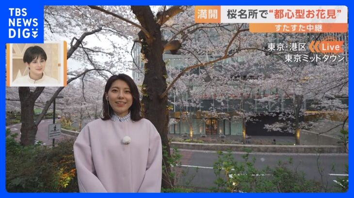 満開の桜がライトアップ！東京ミッドタウンで楽しむ花見＆グルメ【すたすた中継】｜TBS NEWS DIG