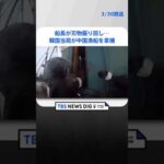 【映像】船長が刃物振り回し…韓国当局が中国漁船を拿捕　EEZで違法操業か｜TBS NEWS DIG #shorts