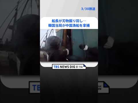 【映像】船長が刃物振り回し…韓国当局が中国漁船を拿捕　EEZで違法操業か｜TBS NEWS DIG #shorts
