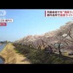 列島各地で桜“満開ラッシュ”ライトアップで客殺到(2023年3月30日)