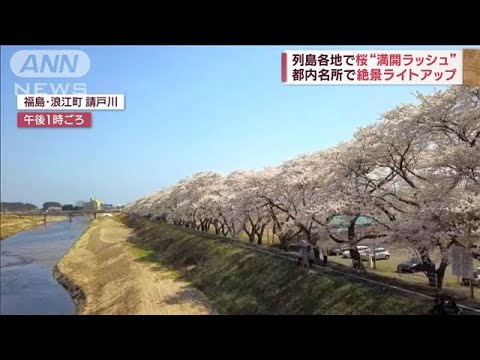 列島各地で桜“満開ラッシュ”ライトアップで客殺到(2023年3月30日)