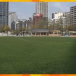 神戸の東遊園地でリニューアル工事が完了　芝生面積が広くなり屋外図書館も　４月７日に一般公開予定