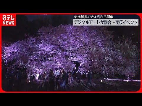 【夜桜イベント】新宿御苑で…デジタルアートが融合 クリーン電力活用で環境配慮も