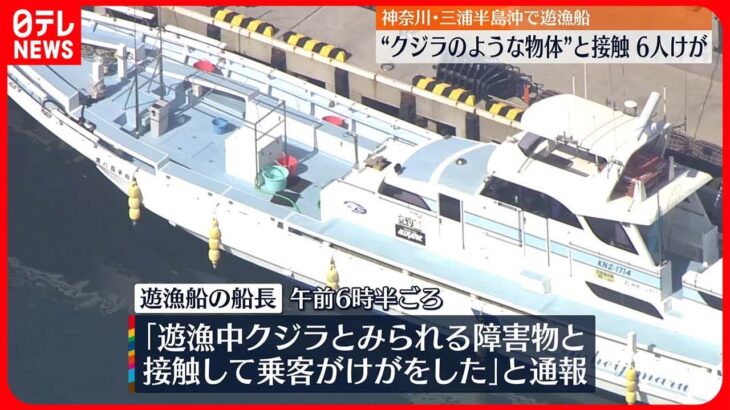 【遊漁船乗客6人がケガ】クジラのような“海洋生物”と衝突 三浦半島沖