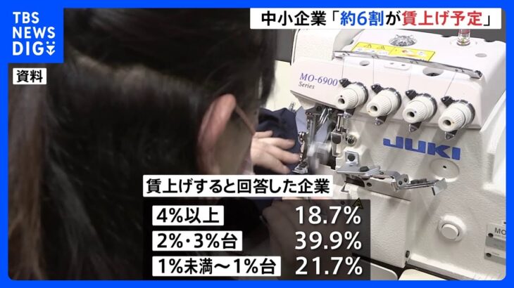 中小企業の約6割が賃上げ予定　物価上昇率カバー可能な「4％以上」賃上げは18.7％に　日本商工会議所｜TBS NEWS DIG