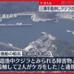 【クジラか？】遊漁船が“海洋生物”と衝突 6人ケガ 神奈川・三浦半島沖