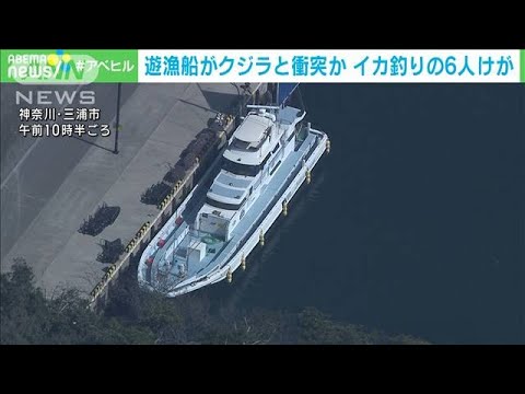 遊漁船がクジラと衝突か　6人けが　神奈川・三浦沖(2023年3月7日)