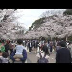 今年のお花見の予算　平均7000円で去年の2倍近くに(2023年3月13日)