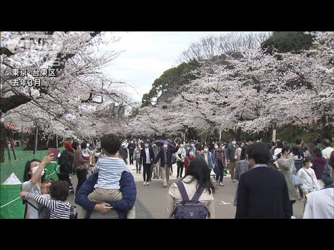 今年のお花見の予算　平均7000円で去年の2倍近くに(2023年3月13日)