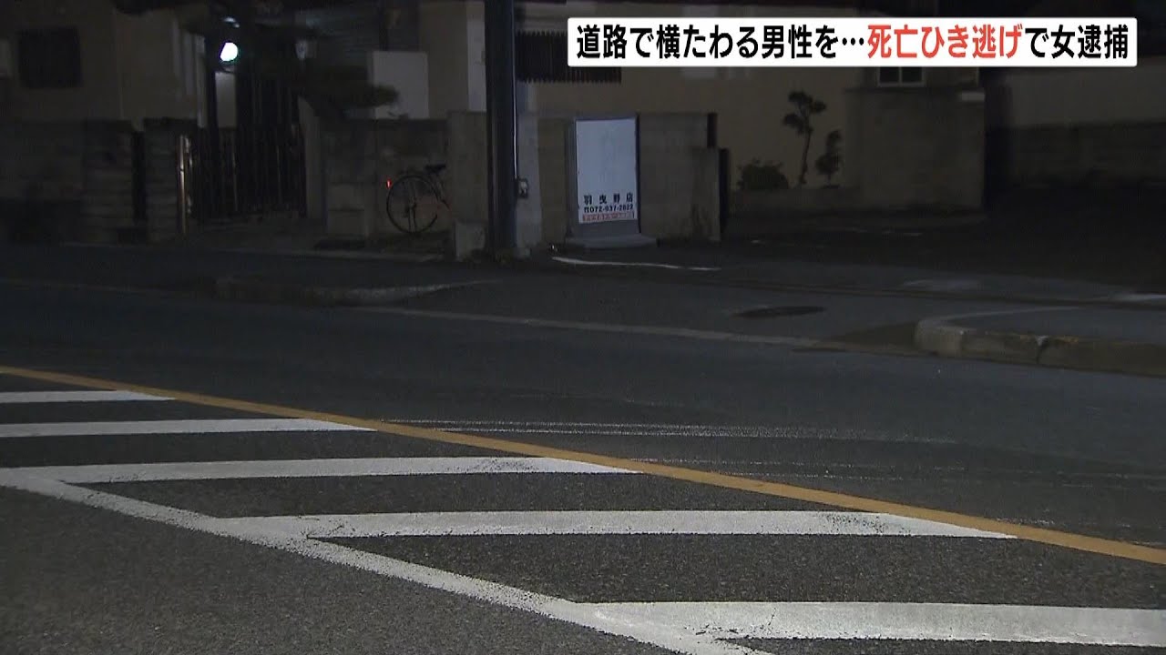 7分後に現場に戻る　51歳女をひき逃げ容疑で逮捕　道路に横たわっていた男性はねた（2023年3月3日）
