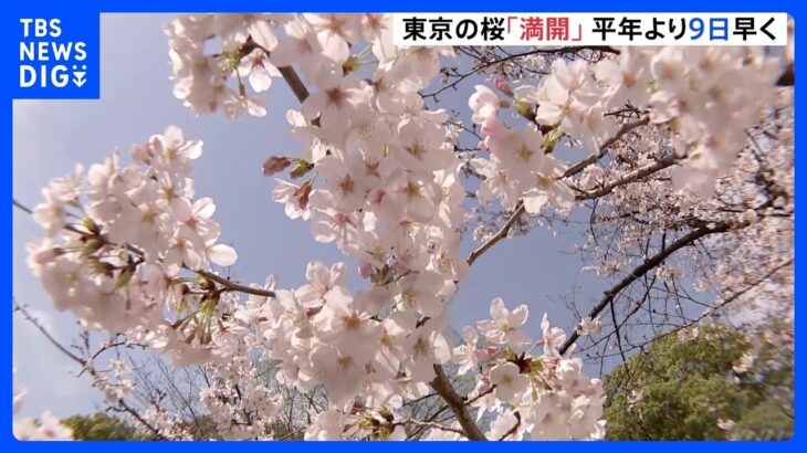 【速報】東京の桜が「満開」 平年より9日、去年より5日早い「満開」｜TBS NEWS DIG