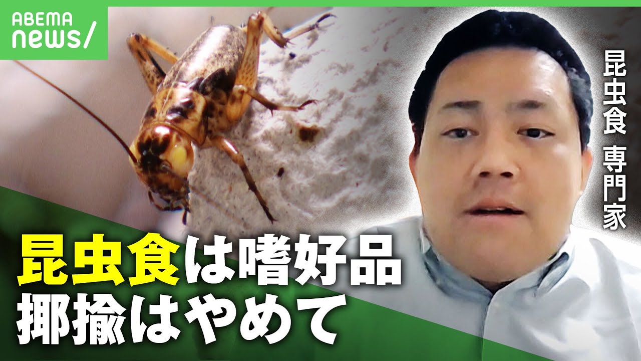 【抵抗感】約9割”避ける”昆虫食の未来は「あくまで嗜好品 食材の1つとして広がれば」｜アベヒル