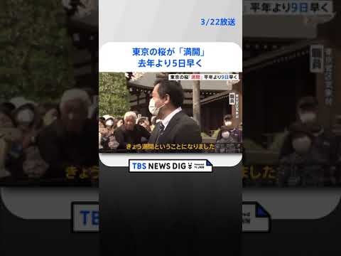 東京の桜が「満開」 平年より9日、去年より5日早い「満開」｜TBS NEWS DIG #shorts