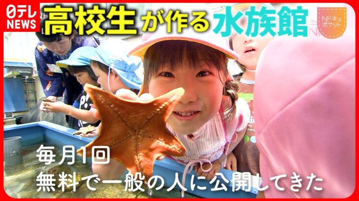 【NNNドキュメント】約2000匹！学校の中の”水族館” 高校生たちの奮闘　NNNセレクション