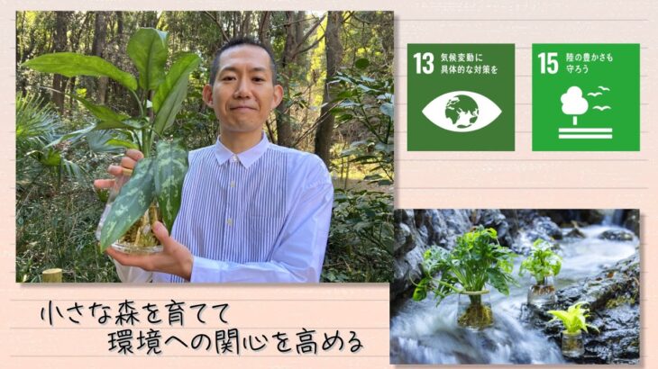 【SDGs】小さな森を育てて環境への関心を高める（2023/3/11）