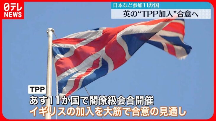 【合意へ】イギリスの”TPP加入”　日本など参加11か国