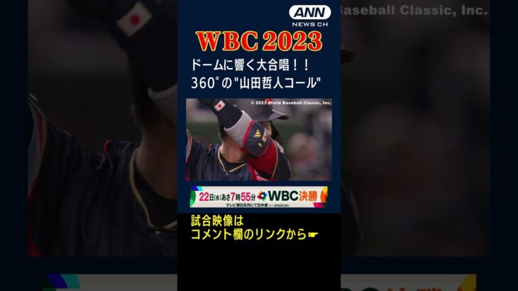 【WBC2023名場面】ドームに響く大合唱 360°の山田哲人コール#shorts