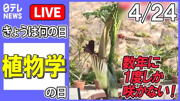 【きょうは何の日】『植物学の日』――数年に1度しか咲かない！“世界最大級の花”…開花間近に / 【大阪】歩道橋の下に”ど根性大根”　都会の真ん中…市民感動　など（日テレNEWS LIVE）