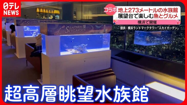 【きょうの1日】ゴールデンウイーク…準備大詰め  地上273メートルの水族館が登場！