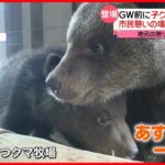 【きょうの1日】ゴールデンウイークへ向け…各地で準備進む  北海道では5頭の「子グマ」一般公開へ