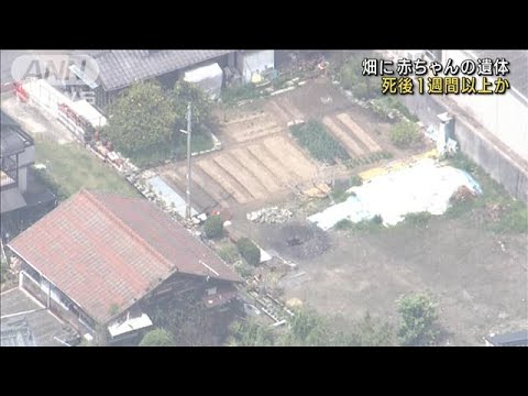 畑から生後間もない赤ちゃんの遺体　死後1週間以上か　東広島市(2023年4月18日)