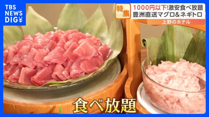 豊洲マグロに麻婆豆腐まで！1000円以下の“激安食べ放題の世界”｜TBS NEWS DIG