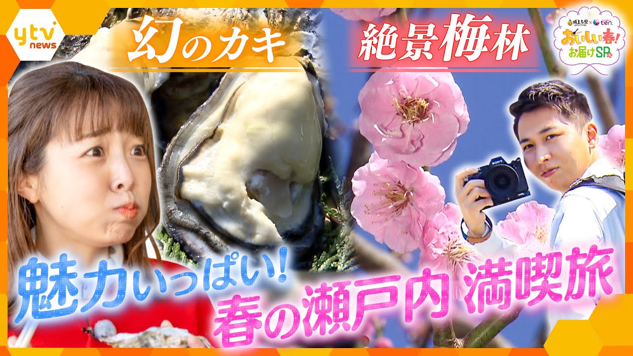 1000個に1個の「幻の牡蠣」&謎の牡蠣スイーツ!? 8000本が咲き誇る絶景梅林!黒木アナ&岩原アナが“食べて美味しい見ておいしい”瀬戸内の春を大満喫【かんさい情報ネットten.】