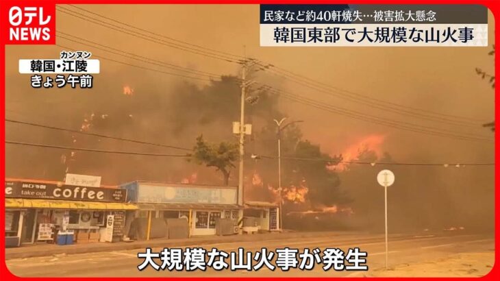 【韓国】100ヘクタール以上が燃え民家など約40軒消失　大規模な山火事