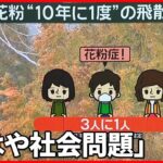 【花粉】“10年に1度”の飛散量　政府も会議を開くなどして本腰…対策は？