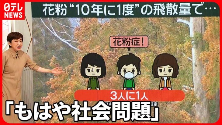 【花粉】“10年に1度”の飛散量　政府も会議を開くなどして本腰…対策は？