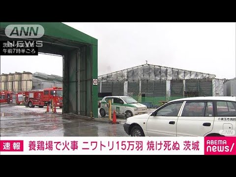 【速報】養鶏場で火事　ニワトリ15万羽焼け死ぬ　茨城(2023年4月26日)
