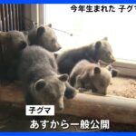 1月生まれの5頭の子グマ公開　27日から一般公開予定　5月7日まで名前募集も　北海道・のぼりべつクマ牧場｜TBS NEWS DIG