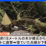 キャンプ場でテントの上に高さ18メートルほどの木が倒れ女性1人死亡　神奈川・相模原市｜TBS NEWS DIG