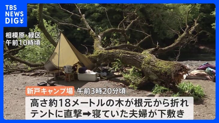 キャンプ場でテントの上に高さ18メートルほどの木が倒れ女性1人死亡　神奈川・相模原市｜TBS NEWS DIG